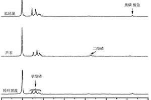 湖泊水生植物中有機(jī)磷提取及組成分析方法