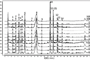 生姜姜半夏滲漉液中成分的定量指紋圖譜分析方法