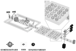 單分子多組分數(shù)字免疫分析方法