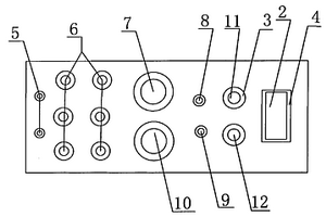 瘦肉精發(fā)光酶聯(lián)免疫分析試劑盒