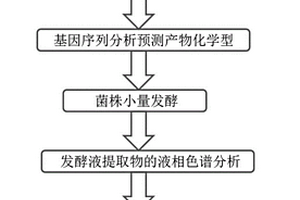 基因分析介導(dǎo)的芳香環(huán)聚酮化合物的尋找和鑒定方法