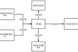 肝儲(chǔ)備功能分析儀