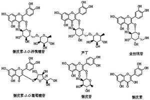 基于MRM-IDA-EPI模式同時定性定量分析酸棗葉總黃酮中6種成分的方法