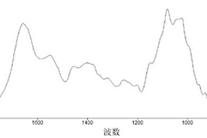 冬蟲夏草子座的紅外光譜分析鑒定方法