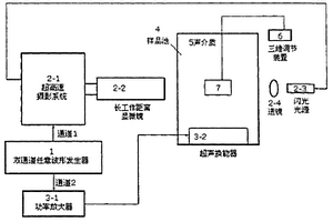 基于超高速攝影技術的超聲場中微泡行為分析系統(tǒng)和方法