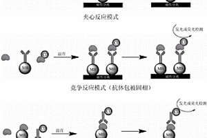 基于碳納米材料的免疫分析方法