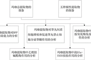 瑪咖活性成分的提取分析及應(yīng)用方法