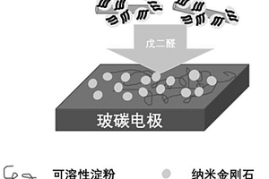 酶電極、電化學生物傳感器、水中苯酚濃度的分析方法