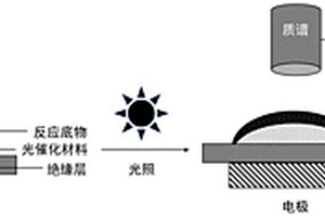 光電化學(xué)反應(yīng)中間體的陣列芯片質(zhì)譜聯(lián)用分析方法