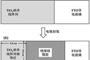 基于硫化鎘納米顆粒/二氧化鈦納米線陣列復(fù)合材料的光電化學(xué)傳感器的制備及其應(yīng)用