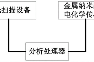 電子經(jīng)絡(luò)檢測裝置及其檢測方法