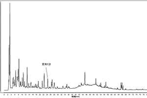 齒瓣石斛化學(xué)小分子成分的相關(guān)特征指紋圖譜的建立方法