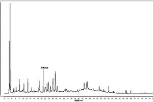 鐵皮石斛化學(xué)小分子成分的相關(guān)特征指紋圖譜的建立方法