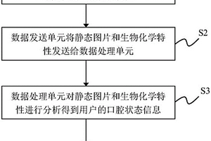 口腔檢測裝置及口腔檢測方法