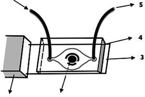 電化學微流控傳感芯片的制備方法及其應用