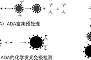 抗藥抗體的檢測方法及檢測試劑盒