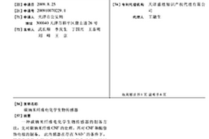 碳納米纖維電化學(xué)生物傳感器