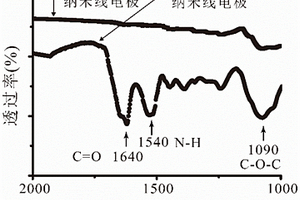 單根核殼納米線的酶型電化學(xué)傳感器及其制備方法與應(yīng)用