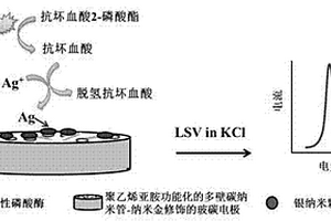 用于檢測堿性磷酸酶的修飾電極及制備方法與檢測方法