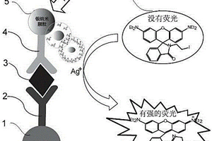 基于金屬離子特異響應的熒光檢測法在免疫檢測中的應用