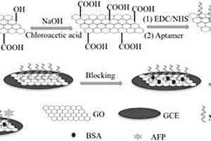 氧化石墨烯/甲胎蛋白適體電化學傳感器的制備方法