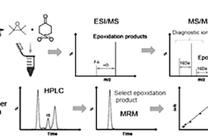 基于化學(xué)衍生化與HPLC-MS的不飽和脂肪酸定量方法