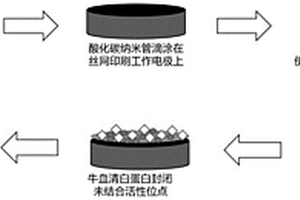 電化學(xué)生物傳感器及其制備方法與應(yīng)用