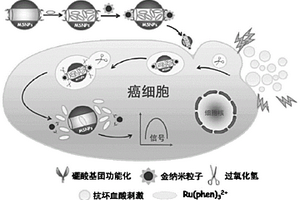 電致化學(xué)發(fā)光傳感器用于癌細胞識別的方法