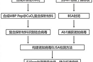 諾如病毒檢測探針及其制備方法、諾如病毒檢測試劑盒和非診斷目的檢測諾如病毒的方法