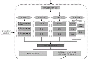 不同海拔土壤C、N、P生態(tài)化學(xué)計(jì)量特征及其微生物驅(qū)動機(jī)制模型構(gòu)建方法