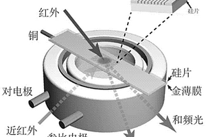 刻有金屬納米光柵的電化學工作電極及其制備方法