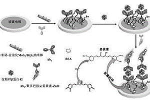 基于姜黃素復(fù)合ZnO納米粒子猝滅魯米諾電化學(xué)發(fā)光傳感器的制備