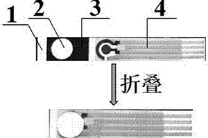 紙基miRNA電化學(xué)傳感器的制備方法及應(yīng)用