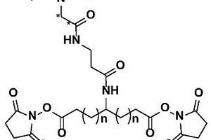 多功能化學(xué)交聯(lián)劑及其制備方法和應(yīng)用