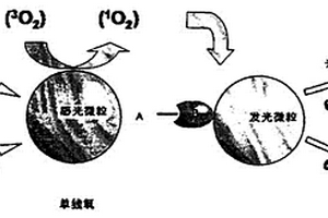 乙型肝炎病毒E抗體檢測試劑盒及檢測方法