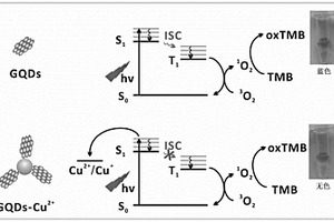 基于GQDs光催化可視化檢測(cè)Cu<Sup>2+</Sup>的方法