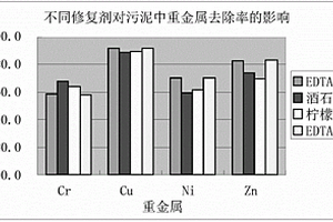 用于去除剩余污泥中重金屬的電化學(xué)方法