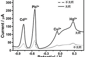 光增強(qiáng)電化學(xué)傳感器及其制備方法和應(yīng)用