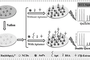17β-雌二醇電化學(xué)發(fā)光適配體傳感器的制備方法及應(yīng)用