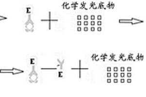 檢測(cè)試劑盒及其制備方法和肌鈣蛋白T的檢測(cè)方法