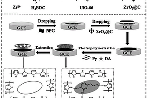Ppy-MIP/ZrO2@C/NPG/GCE分子印跡電化學傳感器及制備方法和應用
