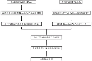 諾如病毒檢測(cè)探針及試劑盒、一種檢測(cè)諾如病毒的方法