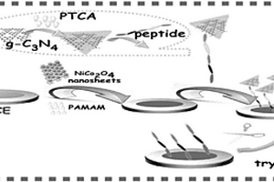基于NiCo<sub>2</sub>O<sub>4</sub>納米片狀材料及肽鏈切割效應(yīng)的胰蛋白酶電化學(xué)傳感平臺(tái)的構(gòu)建