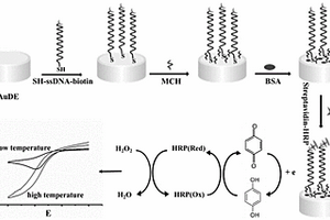 溫度可控基于酶催化的電化學(xué)過(guò)氧化氫傳感器