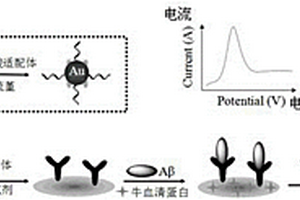 檢測β-淀粉樣蛋白寡聚體的類免疫電化學傳感器及其制備方法