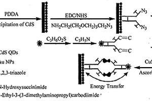 基于光電化學(xué)傳感的Cu2+檢測方法