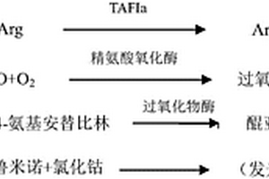 TAFIa含量的檢測方法、用于檢測TAFIa含量的試劑盒及二者的應(yīng)用