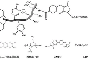 可更新電化學(xué)傳感器及其構(gòu)建方法和應(yīng)用