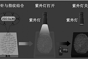 基于長(zhǎng)余輝納米材料的指紋檢測(cè)探針及其制備方法與在潛指紋檢測(cè)中的應(yīng)用