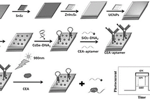 近紅外光激發(fā)的光電化學傳感器及其制備方法